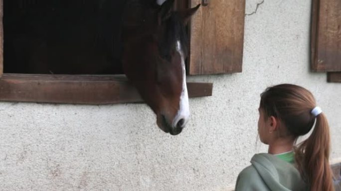 一个女孩抚摸一匹马，它的头从马厩的窗户伸出来