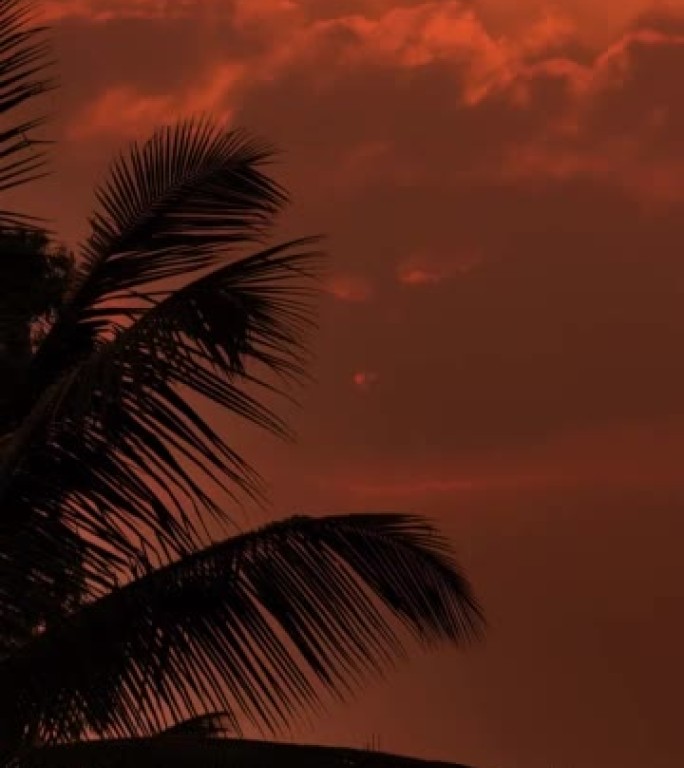 通过快速移动的云层和椰子树4K，日落的延时垂直视频