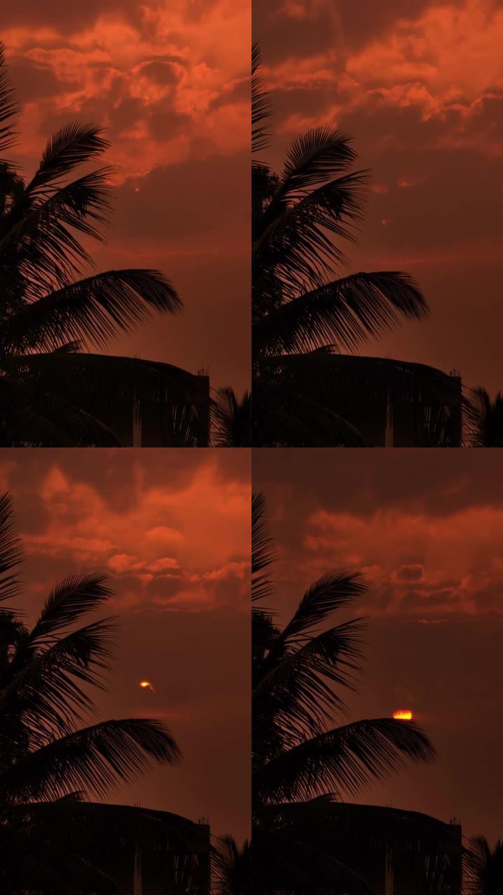 通过快速移动的云层和椰子树4K，日落的延时垂直视频