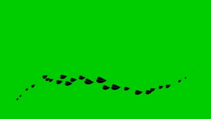 动画黑叶从左到右飞行。循环视频。绿色背景上的一股飞叶。