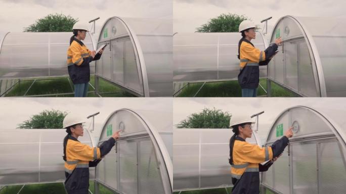 一位亚洲女工程师在阳光充足的日光温室中，用太阳能产生的热量检查水果孵化器。
