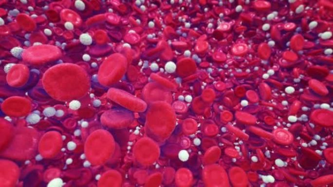 红白细胞白血病细胞医药课程片头医疗科研细