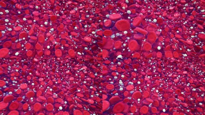 红白细胞白血病细胞医药课程片头医疗科研细
