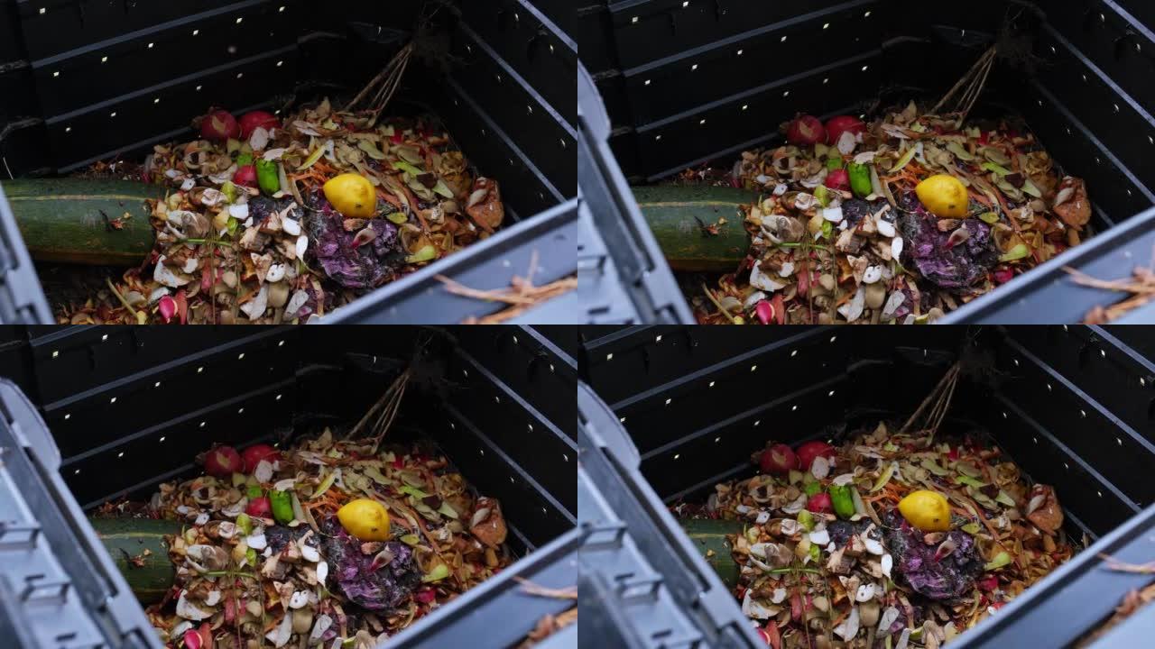 从堆肥箱中收集的蔬菜和食物剩余物中的家庭有机废物变成土壤的天然肥料