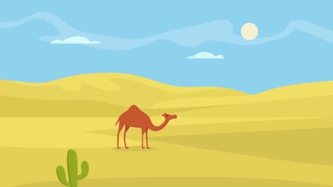 站在绿洲沙漠上的骆驼