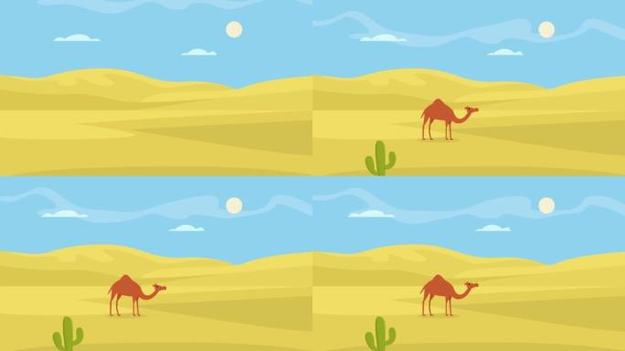 站在绿洲沙漠上的骆驼