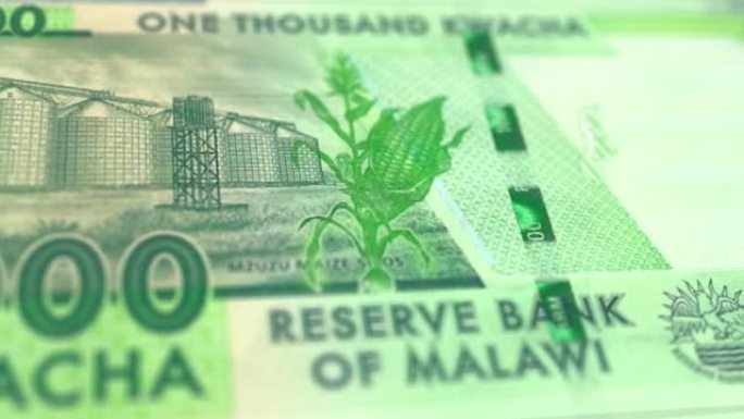 马拉维1000克瓦查纸币观察和储备侧跟踪多莉拍摄1000马拉维纸币当前1000马拉维克瓦查纸币4k分