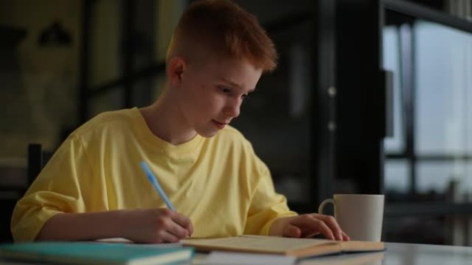 可爱的红发小学生男孩在家学习在练习册上写作业，在家学习。