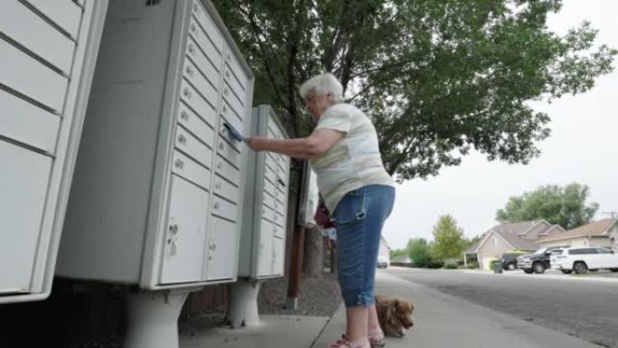 年长的白人妇女Walking着一只长发腊肠狗，在附近的邮箱里寄信