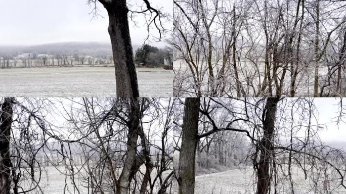 宾夕法尼亚州乡村冬季看点雪天