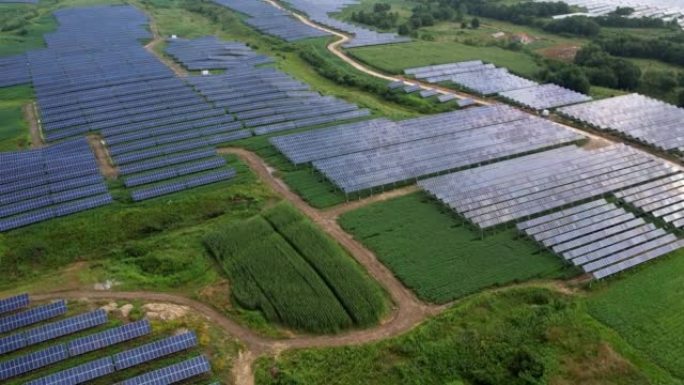 Aerial View Of Solar Panels