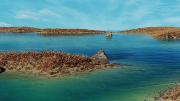 夏日阳光明媚的沼泽景观