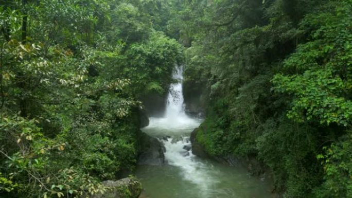 风景如画的Jima瀑布，多米尼加共和国。美丽的瀑布在热带雨林中被郁郁葱葱的树木包围