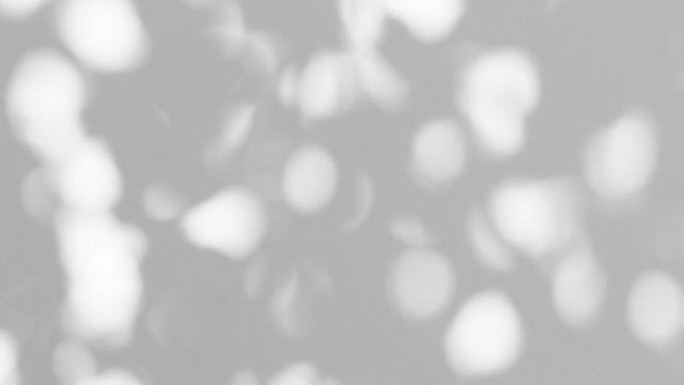 墙上抽象的树影