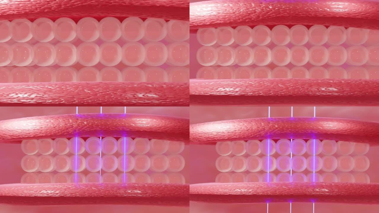 3D渲染皮肤结构层微观结构