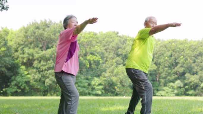 老年夫妇在公园锻炼和伸展手臂