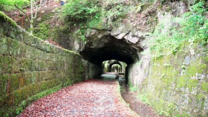 Sogi Falls水道遗迹的隧道视图