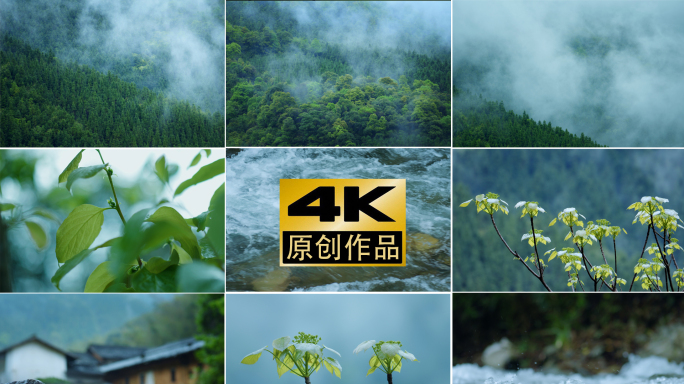 4k下雨天自然生态森林流水大自然风景素材
