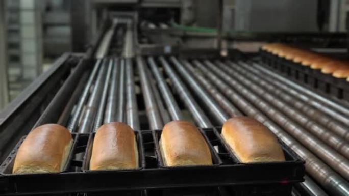 工业面包店工厂用烤箱烤出的白面包