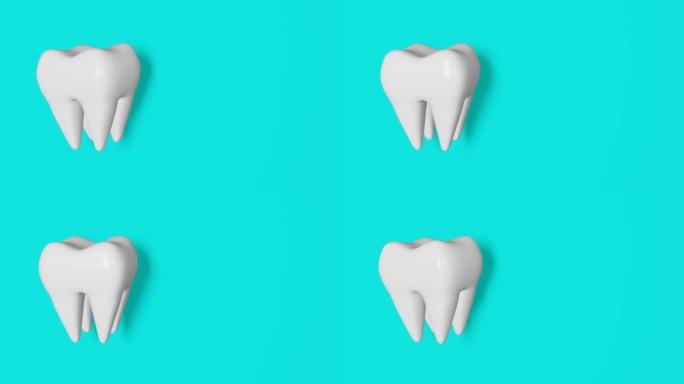 白色健康磨牙运动3D环无缝旋转动画在蓝色背景。全国牙医日数字牙齿解剖模型。智齿拔牙口腔护理恢复牙科保