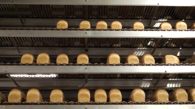 面包店工厂多层输送机上的烤面包