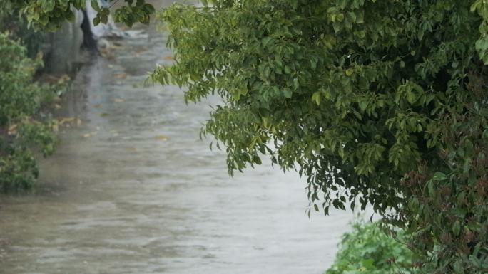 雨中的小路4K实拍