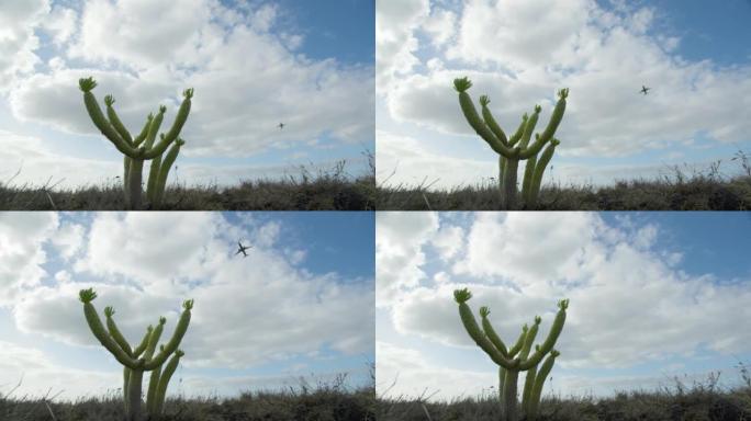 Flying plane against the blue sky