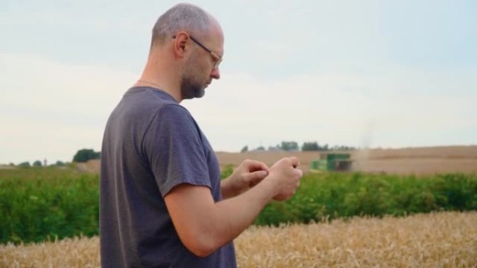 白人男子站在农业麦田里使用和点击智能手机，背景是联合收割机