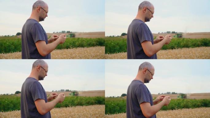 白人男子站在农业麦田里使用和点击智能手机，背景是联合收割机