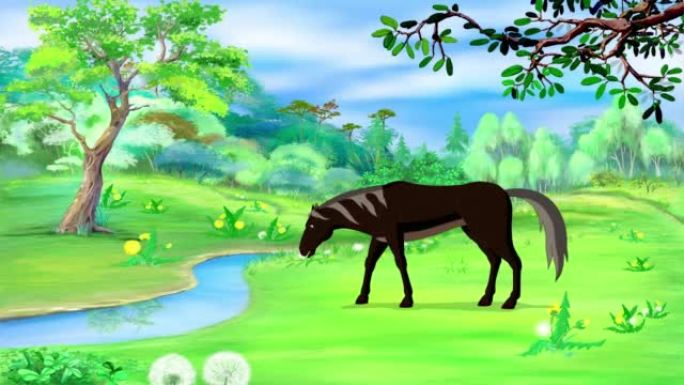 黑马在草地上放牧4k