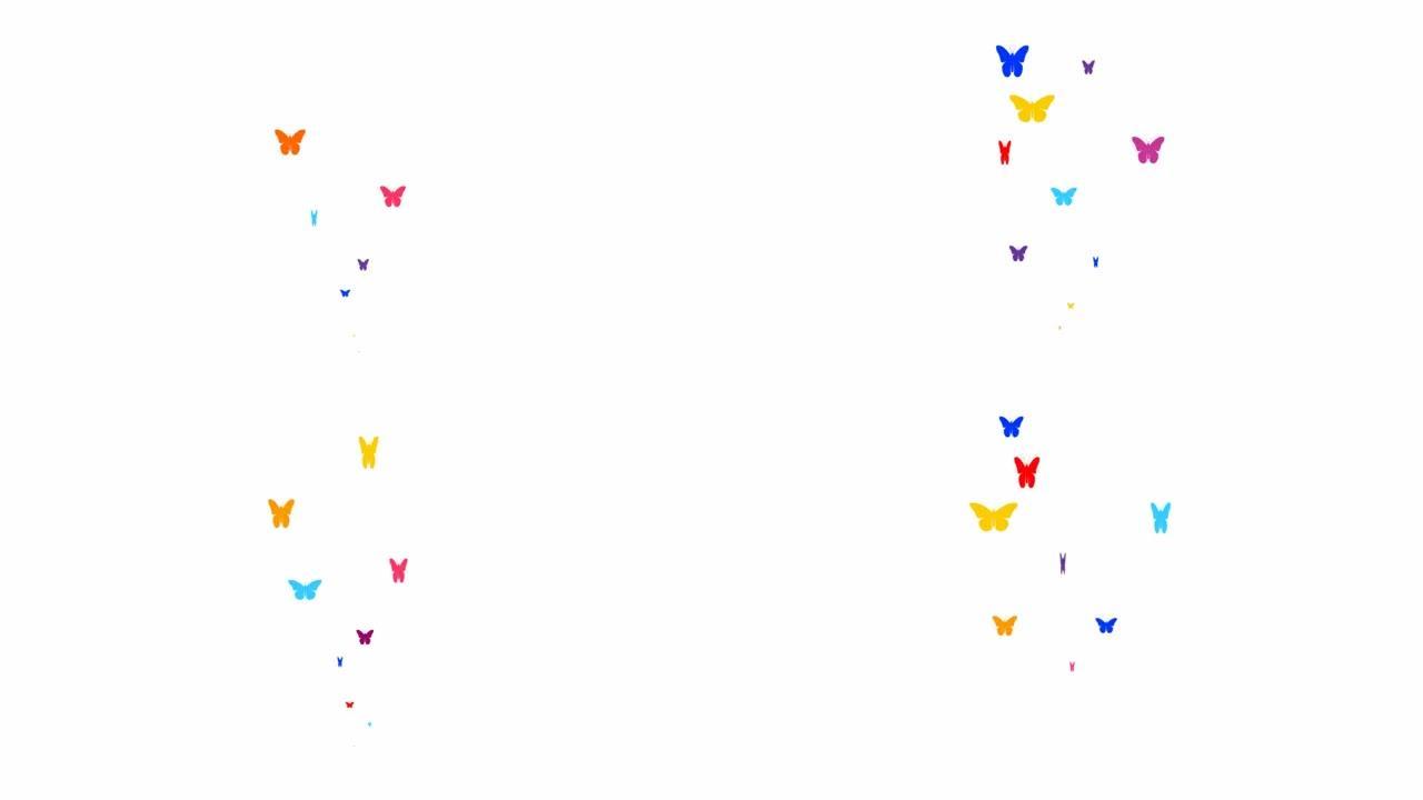 动画五颜六色的蝴蝶从下往上飞。飞蝶的喷泉。夏天的概念。矢量插图孤立在白色背景上。