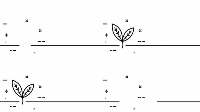 发芽。植物，花，叶，向日葵，生态学，植物学，植物学，绿色和平，绿色植物。拯救地球概念。一个线条画动画