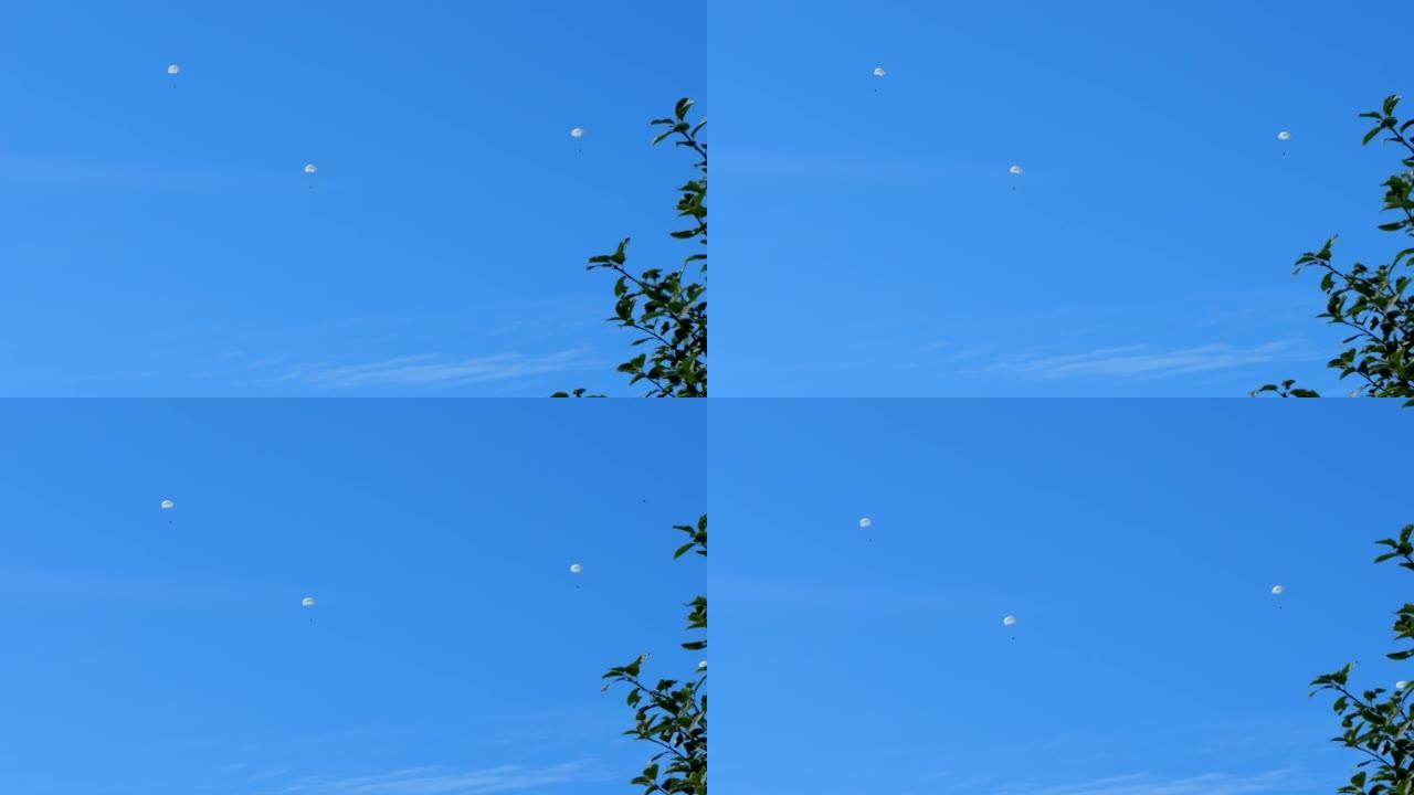 空降兵在蓝天的背景下降落在地面上。高质量的4k镜头。空降兵在蓝天的背景下在早晨降落到地面上