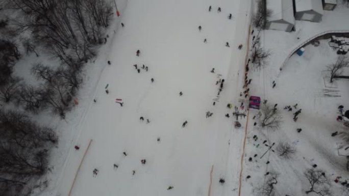 滑雪运动，冬雪。森林里布满了秀场的树木。寒冷的冬天下雪的天气。滑雪胜地。乌克兰，基辅