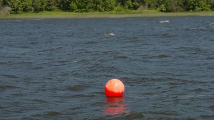 爱沙尼亚海水上的橙色球布伊