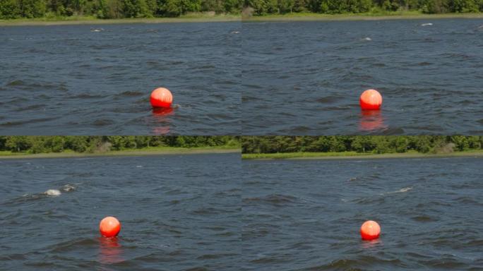 爱沙尼亚海水上的橙色球布伊
