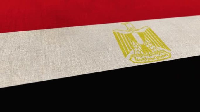 历史国旗埃及动画库存视频-埃及国旗纹理3d渲染背景-高度详细的织物图案