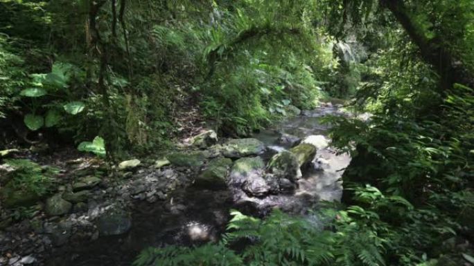 宜兰-台湾临梅石排步道