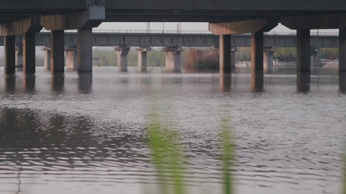 浐灞湿地公园春日空镜