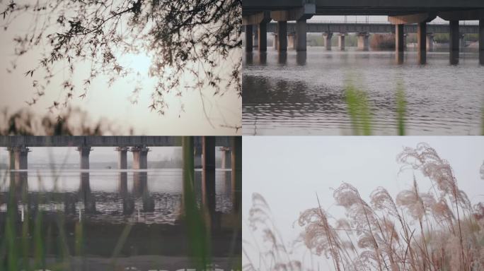 浐灞湿地公园春日空镜