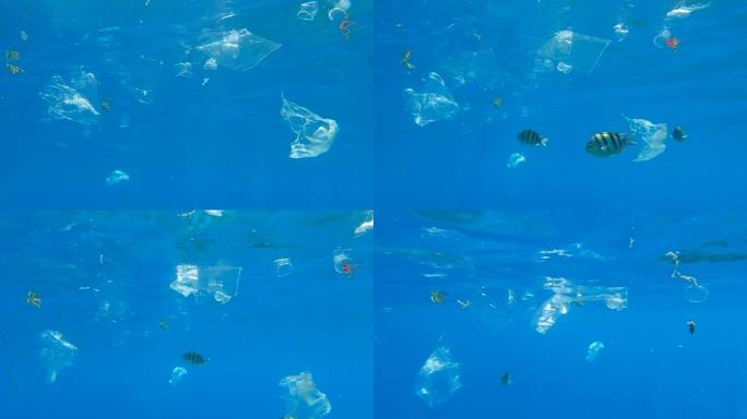许多塑料垃圾被阳光照射下的地表水反射的水漂浮。水下射击，海洋的塑料污染。红海的大规模塑料污染 (4K