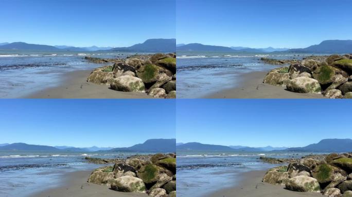 镜头慢慢地摇拍到太平洋的海岸，你可以从巨大的石头的右侧看到天空中的蓝色海水。沉船海滩，塔海滩，阿卡迪