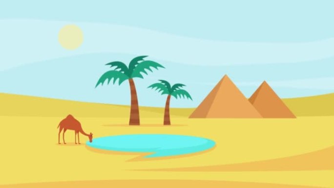 干渴的骆驼在绿洲沙漠中喝水