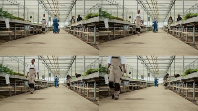 从高加索有机农场工人推架vio蔬菜板条箱的后面看