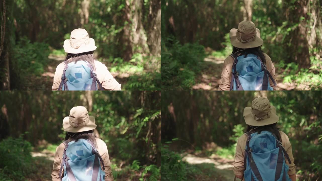 后视图: 亚洲中年女性旅行者，背着背包和帽子沿着雨林散步，在阳光明媚的日子里旅行，独自旅行