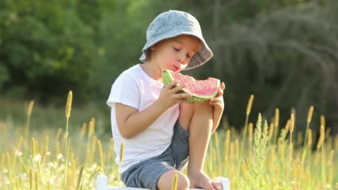 可爱的蹒跚学步的小孩，金发男孩，在美丽的雏菊田里吃西瓜
