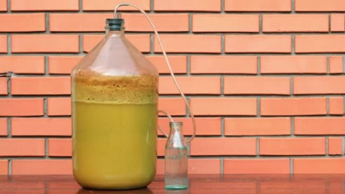 苹果酒。瓶中苹果酒的泡沫，发酵。苹果汁放在发酵罐中，带有原始的气闸。农夫在家生产苹果酒，户外特写