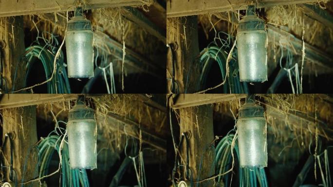 一盏旧灯挂在木棚里。