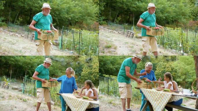Smiling old man carries a crate with organic veget