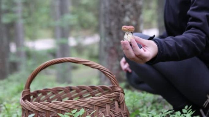 女人在森林里piking蘑菇